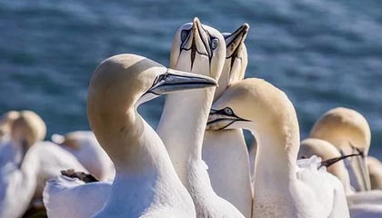 赏帮赚稳定首码项目，每天都有海量的赚钱任务汇集