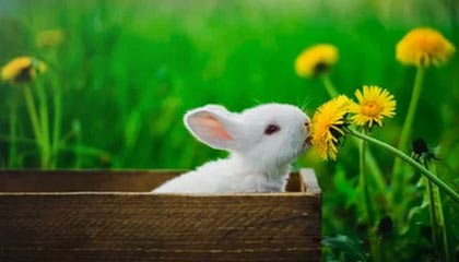 玩赚2.0刚出一秒，安卓看广告单机收益高，急速锁粉，太狠了