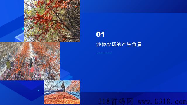 沙棘农场（卷轴模式） 全网唯一一个可以真正实现零撸平台_首码项目网