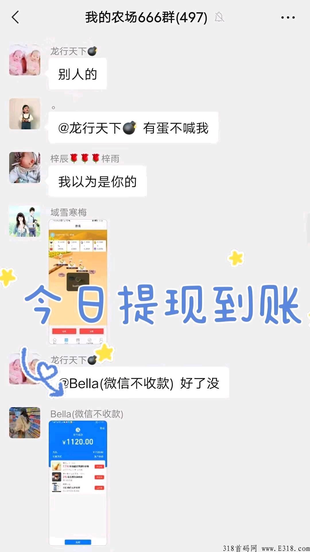 阿尼农场，长期稳定项目，大力扶持，招募团长两名_首码项目网