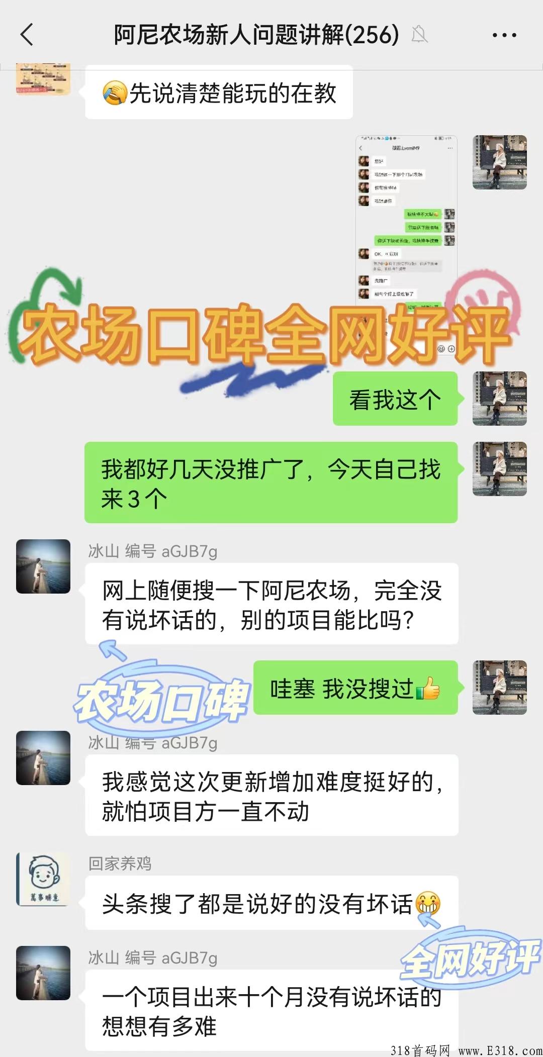 阿尼农场，长期稳定项目，大力扶持，招募团长两名_首码项目网